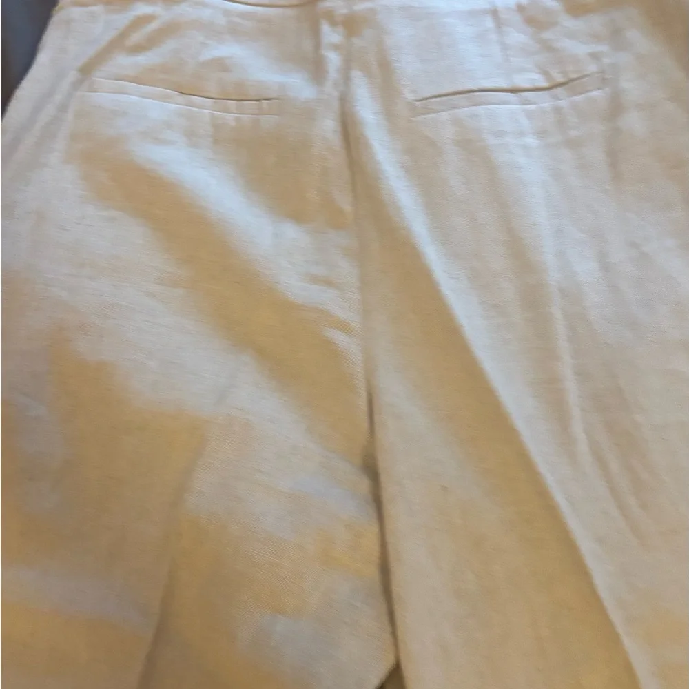 Zara Wide Leg Pants in Light Beige linen